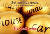 Big Goal Saving