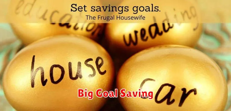 Big Goal Saving